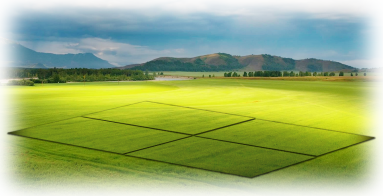 заявление на межевание земельного участка
